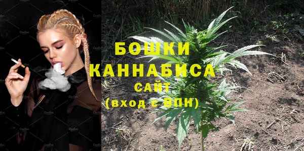 сатива Лагань