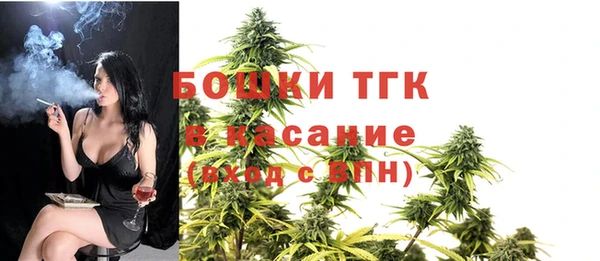 твердый Лабытнанги